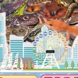 Exhibit at “Reptiles Show in Yokohama 2024”
