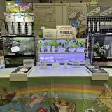 Exhibited at the Japan Reptiles Show in Yokohama 2024