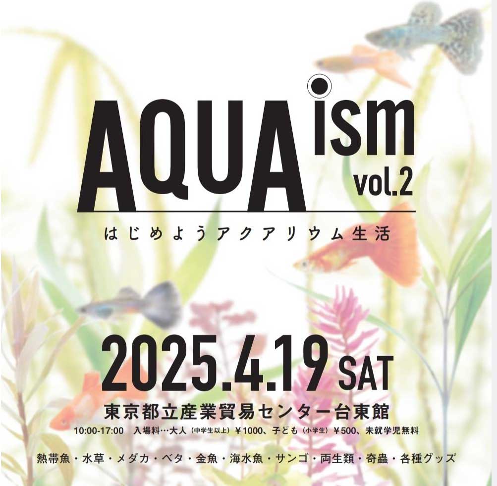 We will exhibit at AQUAizm vol.2