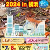 ジャパンレプタイルズショー in 横浜 2024に出展します