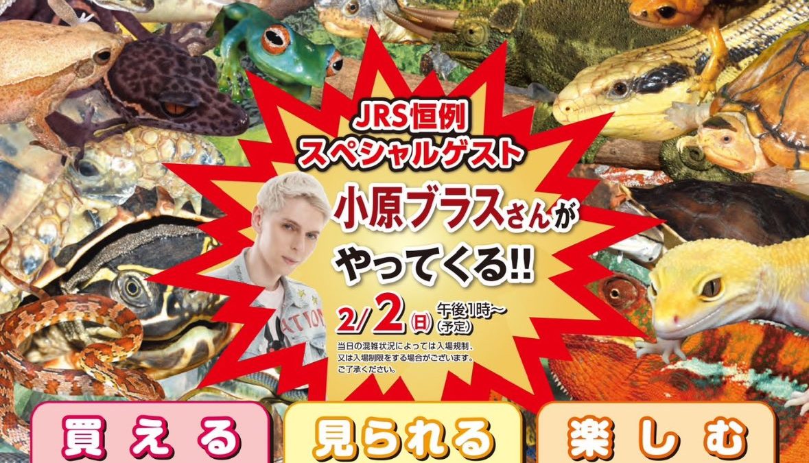 ジャパンレプタイルズショー2025冬 出展のお知らせ