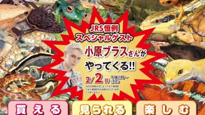 ジャパンレプタイルズショー2025冬 出展のお知らせ