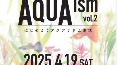 AQUAizm vol.2 に出展いたします