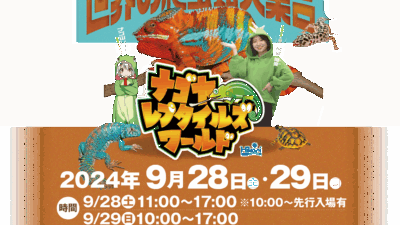 名古屋レプタイルズワールドに出展します