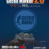 Gecko Market 2025に出展いたします！