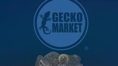 Gecko Market 2025に出展いたします！