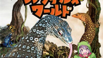 ナゴヤレプタイルズワールド2025に出展いたします！