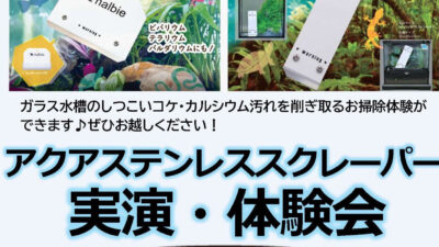 DCM Pet Expo久里浜店にて「アクアステンレススクレーパー 実演・体験会イベント」開催決定！