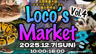 『Loco’s Market Vol.4』 に出店いたします！