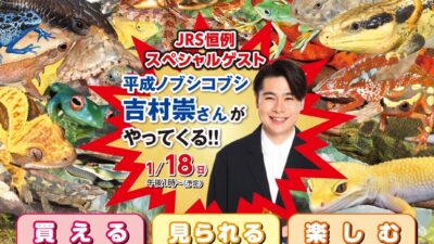 「ジャパンレプタイルズショー2026 冬レプ」に出展いたします！