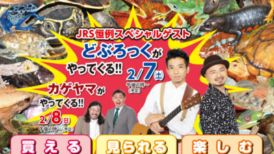 「ジャパンレプタイルズショー in 愛知 2026」 に出展いたします！