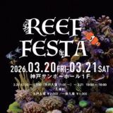 REEF FESTA 2026 に出展いたします！
