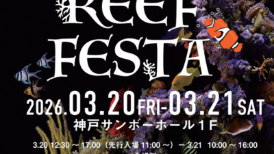 REEF FESTA 2026 に出展いたします！