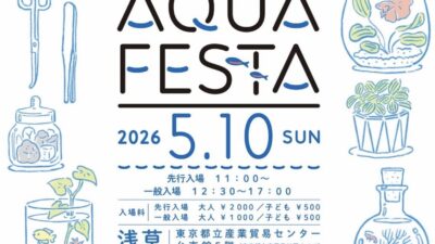 「AQUA FESTA」に出展いたします