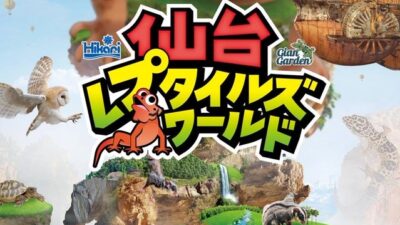 仙台レプタイルズワールドに出展いたします