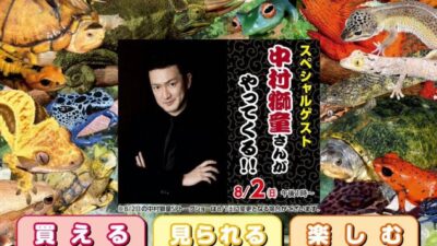 ジャパンレプタイルズショー2026 Summer 出展のお知らせ