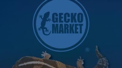 「Gecko Market 2026」に出展します！