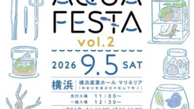 AQUA FESTA vol.2 出店のお知らせ