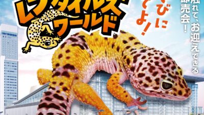 「新潟レプタイルズワールド2026」出展のお知らせ